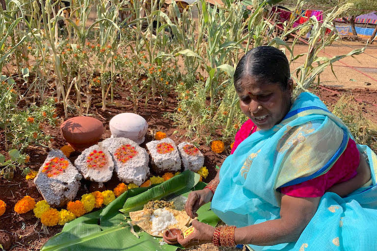 A CAWR partner participating in a seed festival in Andhra Pradesh, India. Image courtesy of CAWR.