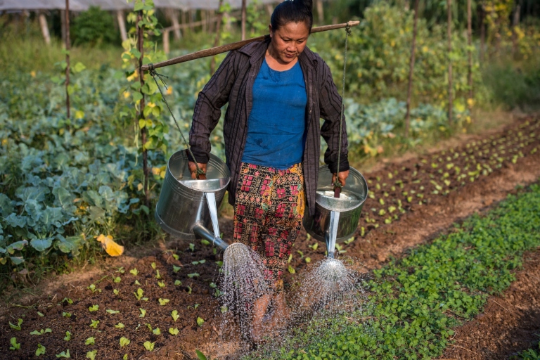 A smallholder vegetable farmer watering plants in Boung Phao Village, Lao PDR. Photo: Asian Development Bank, licensed under CC BY-NC-ND 2.0.